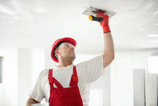 Best Industrial Mold Remediation  in Encantada Ranchito El Calaboz, TX