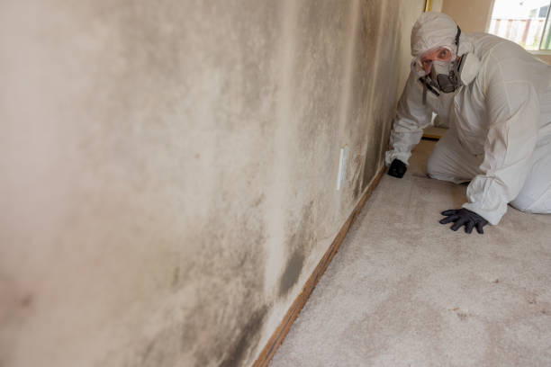 Best Air Quality Testing for Mold Spores  in Encantada Ranchito El Calaboz, TX