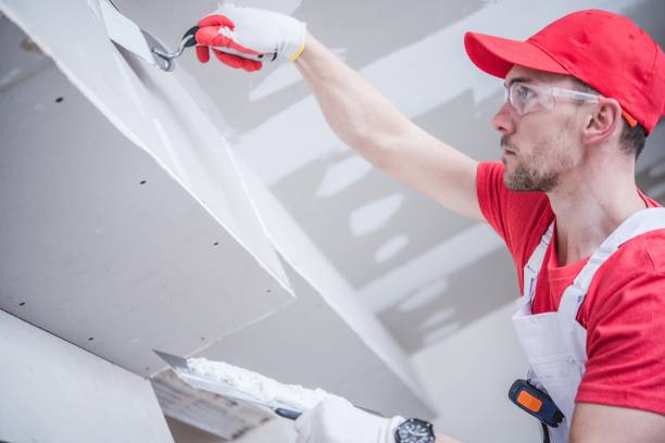 Best Asbestos and Lead Testing During Mold Inspection  in Encantada Ranchito El Calaboz, TX